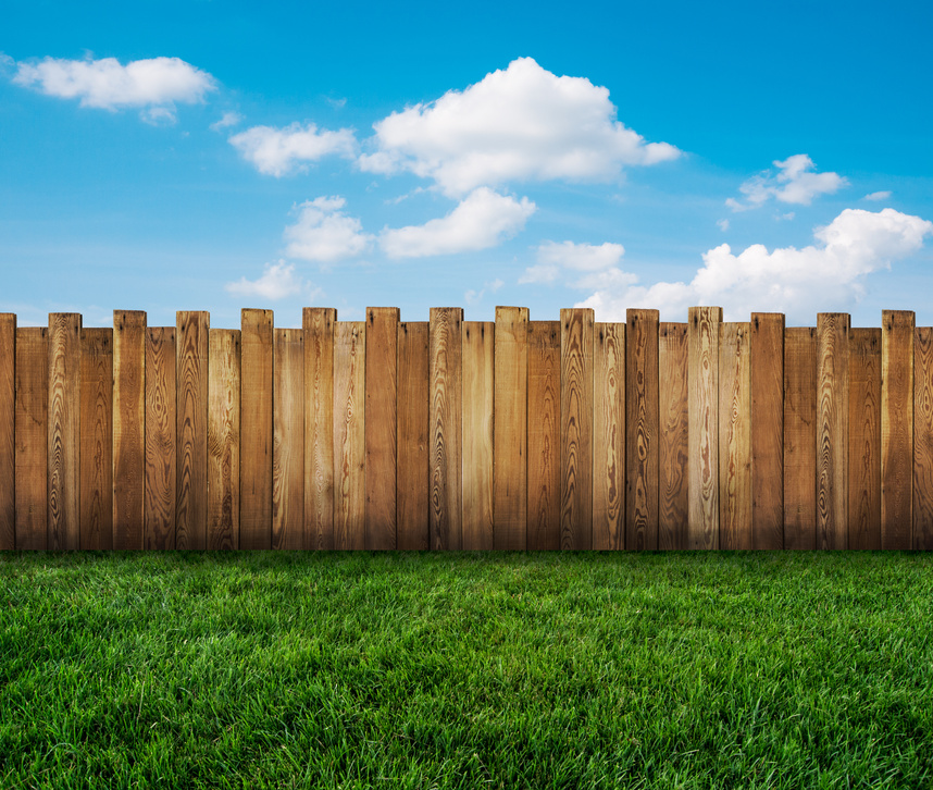 garden fence